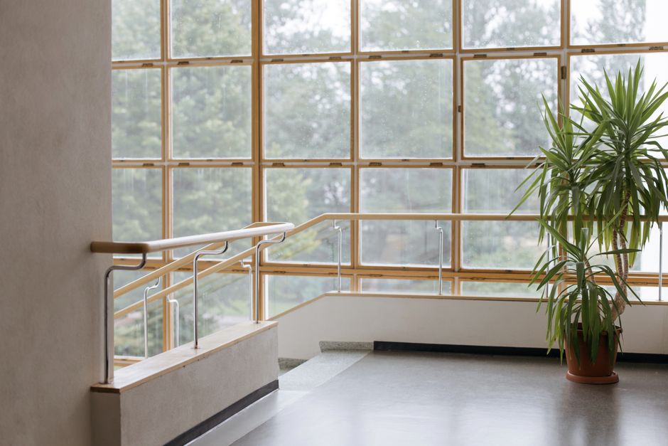 Energy efficient windows lowering home energy costs